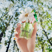 DAISY WILD  100ml-218280 DAISY WILD  100ml-218280 4